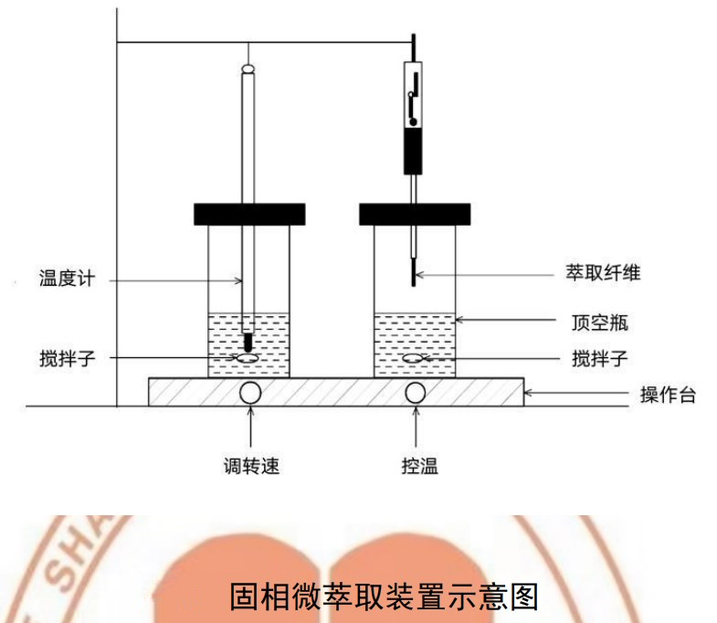 检测地表水中卤代烃的详细步骤